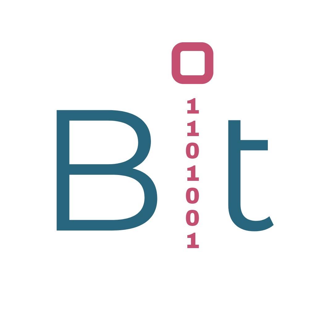 Bit Data LLC